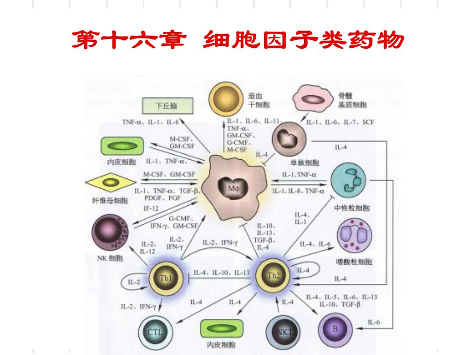 重组细胞因子药物