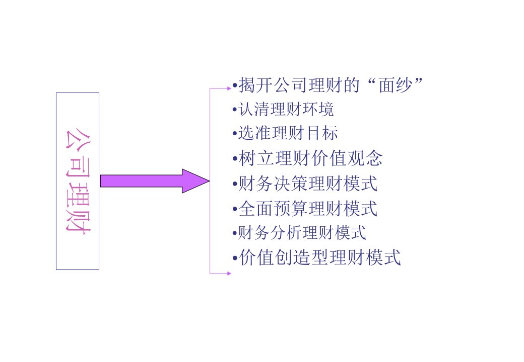 公司理财武汉大学向正军211页PPT