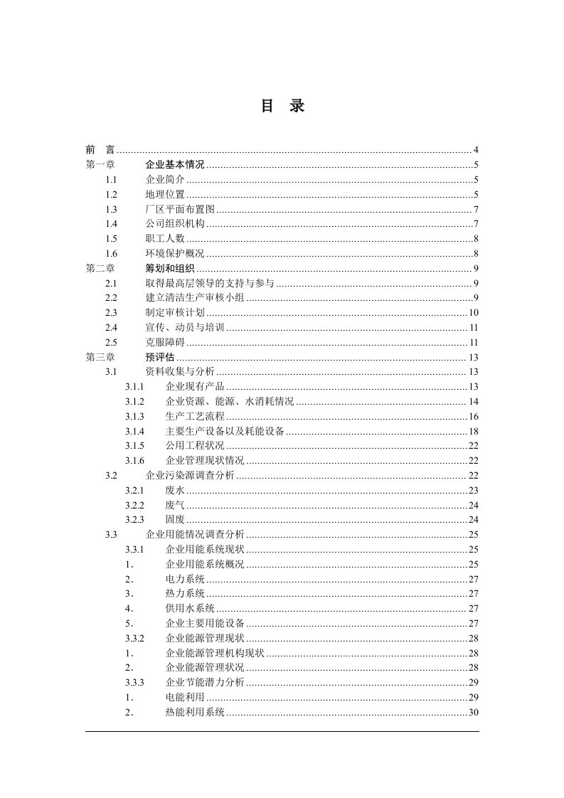 企业清洁生产审核报告