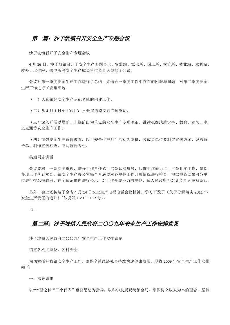 沙子坡镇召开安全生产专题会议[修改版]