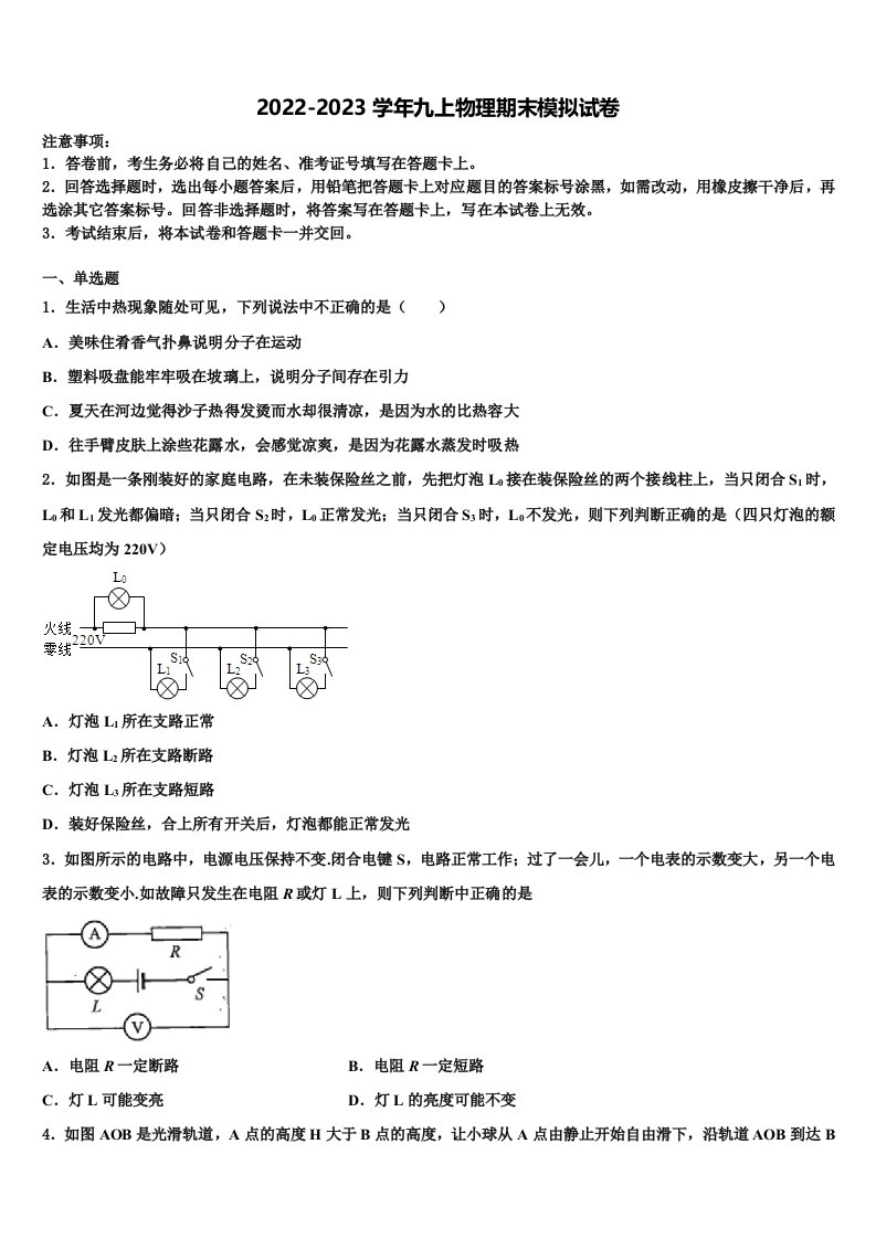 上海外国语大附属外国语学校2022-2023学年九年级物理第一学期期末复习检测模拟试题含解析