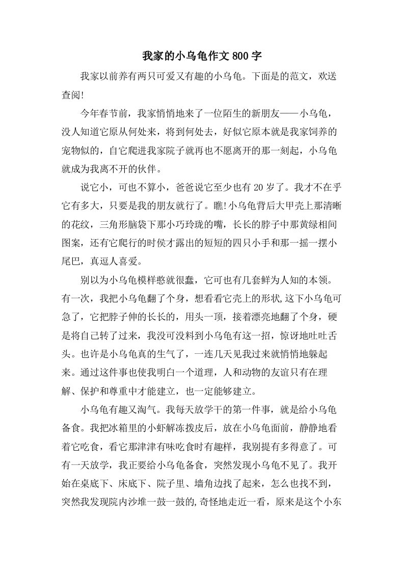 我家的小乌龟作文800字