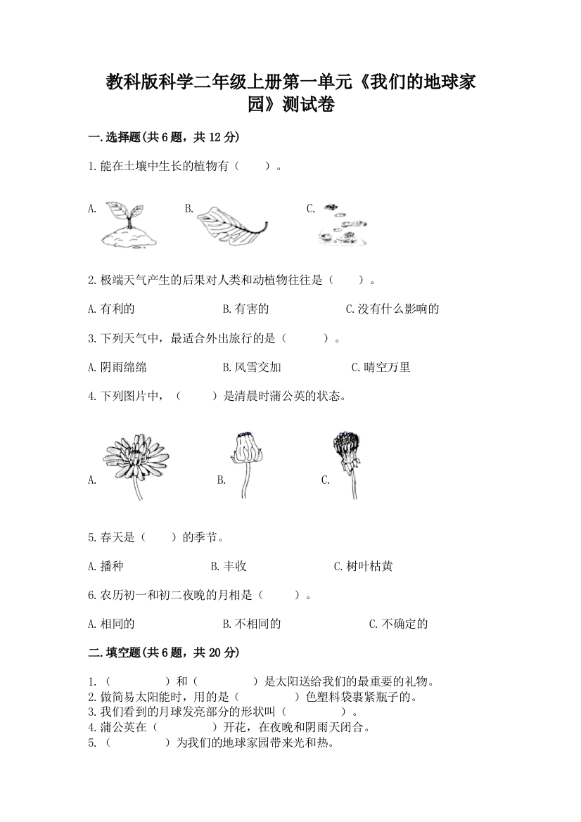 教科版科学二年级上册第一单元《我们的地球家园》测试卷附参考答案【综合卷】