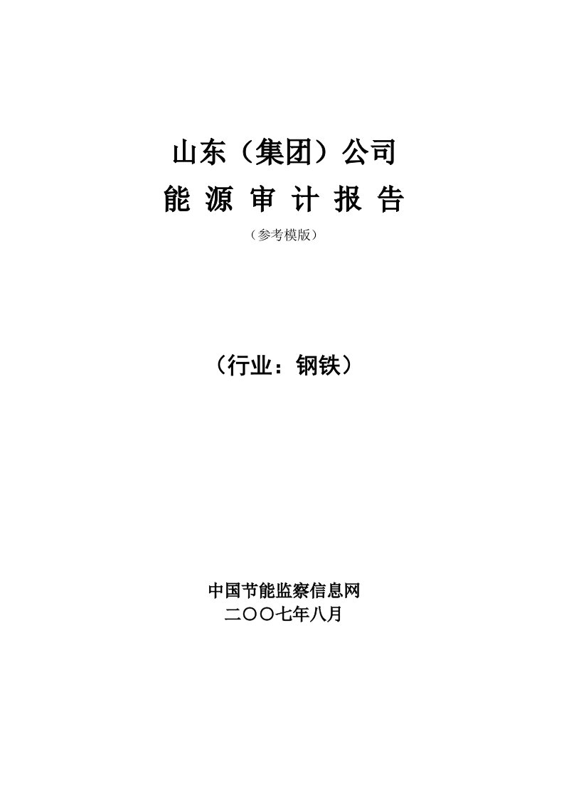 山东钢铁能源审计报告