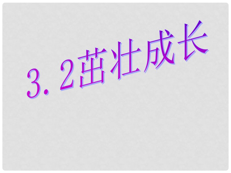 四年级科学下册