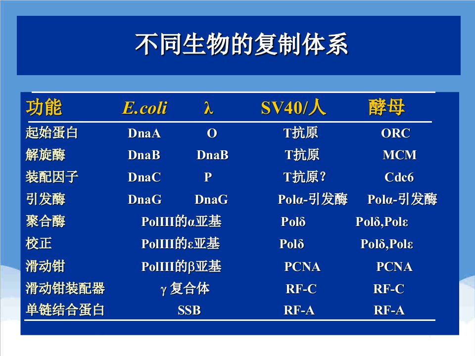 生物科技-不同生物的复制体系