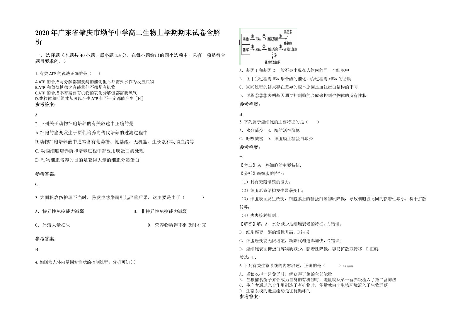 2020年广东省肇庆市坳仔中学高二生物上学期期末试卷含解析