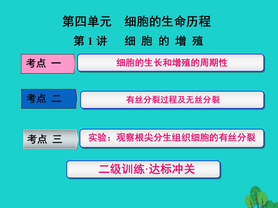 练酷版2023版高考生物一轮复习