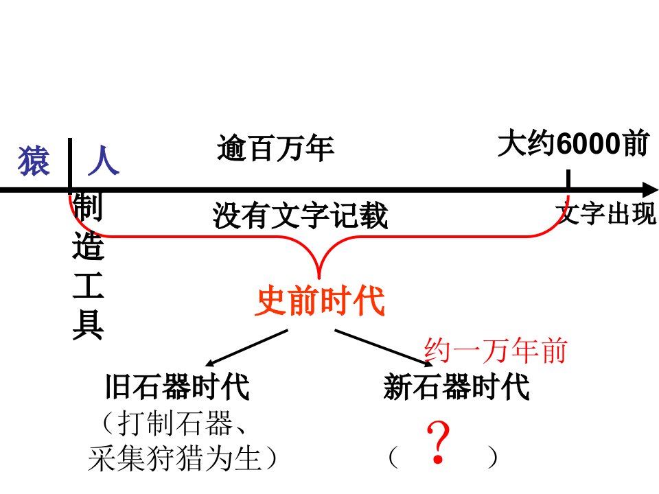 半坡遗址处于黄河流域