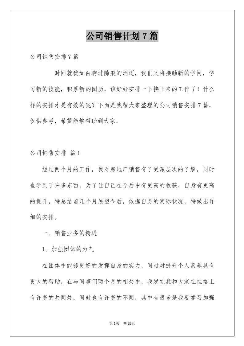 公司销售计划7篇例文