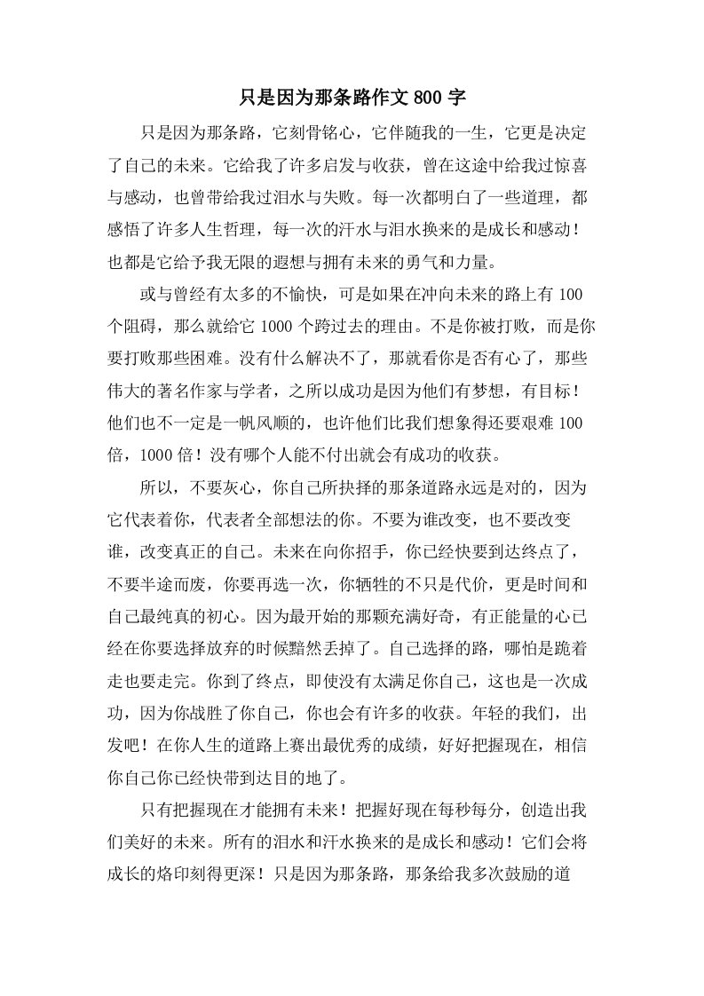 只是因为那条路作文800字