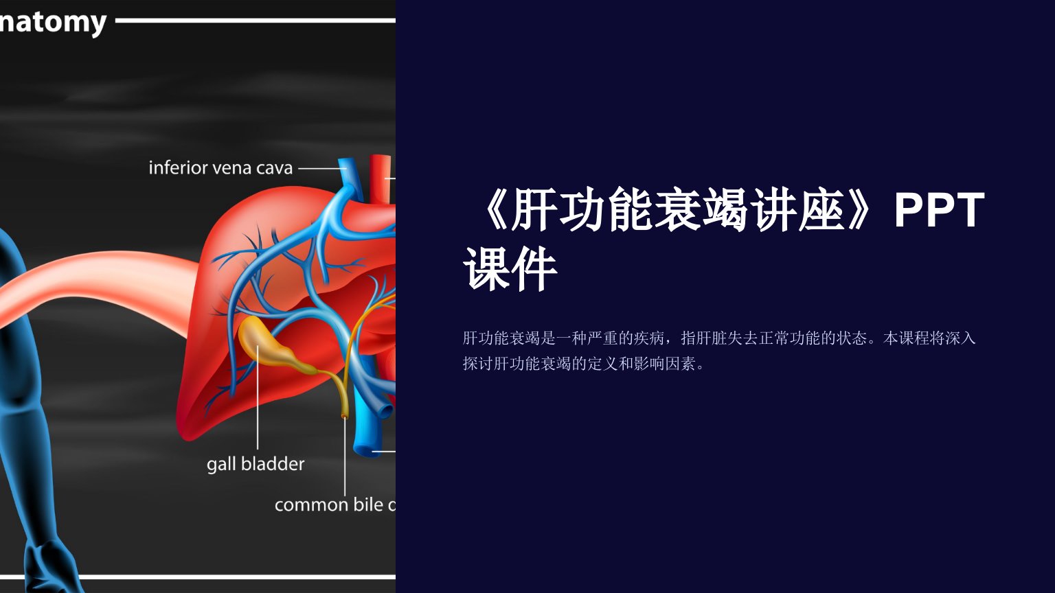 《肝功能衰竭讲座》课件