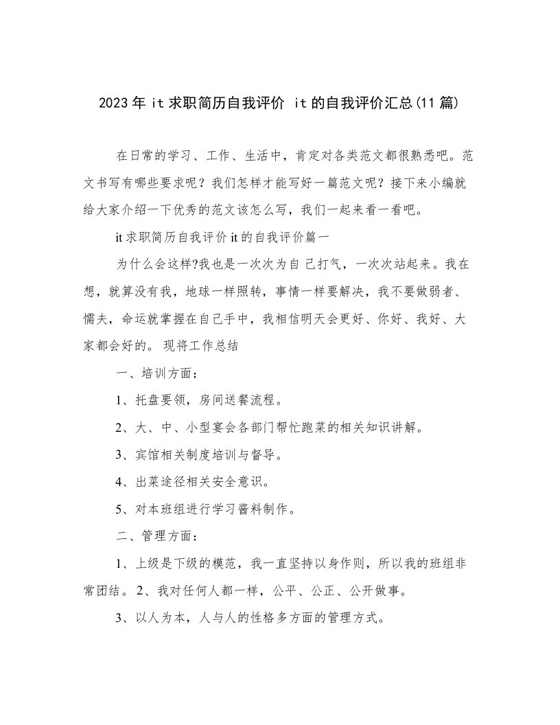 2023年it求职简历自我评价