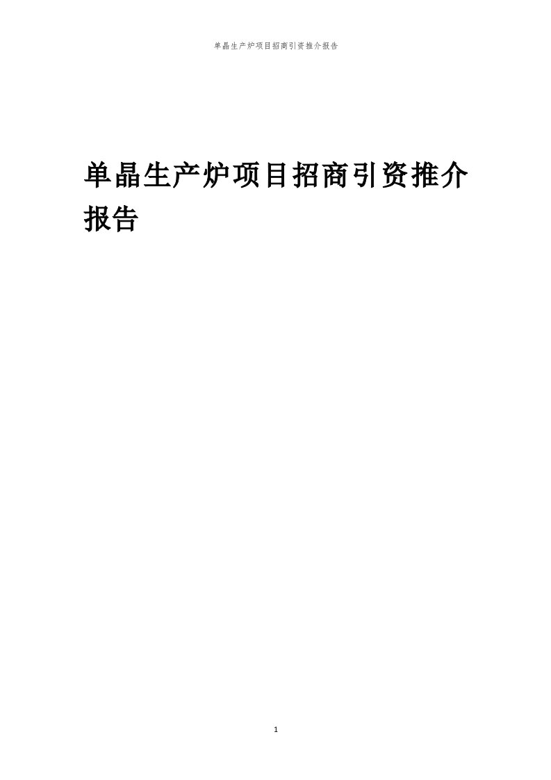 单晶生产炉项目招商引资推介报告