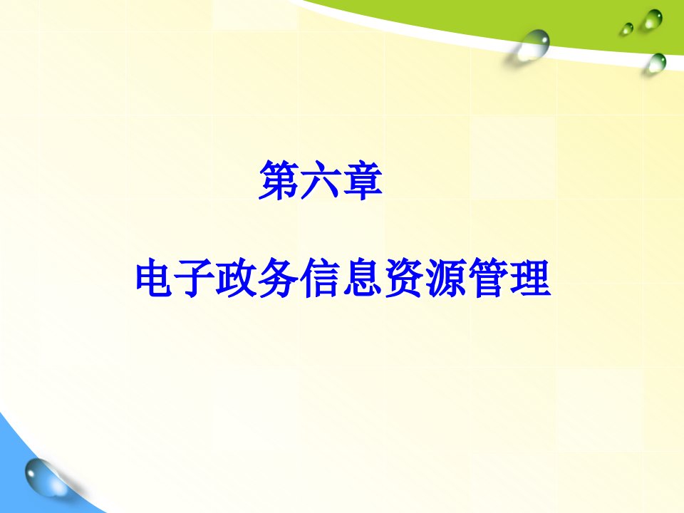 第六章电子政务信息资源管理