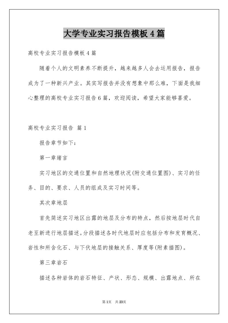 大学专业实习报告模板4篇