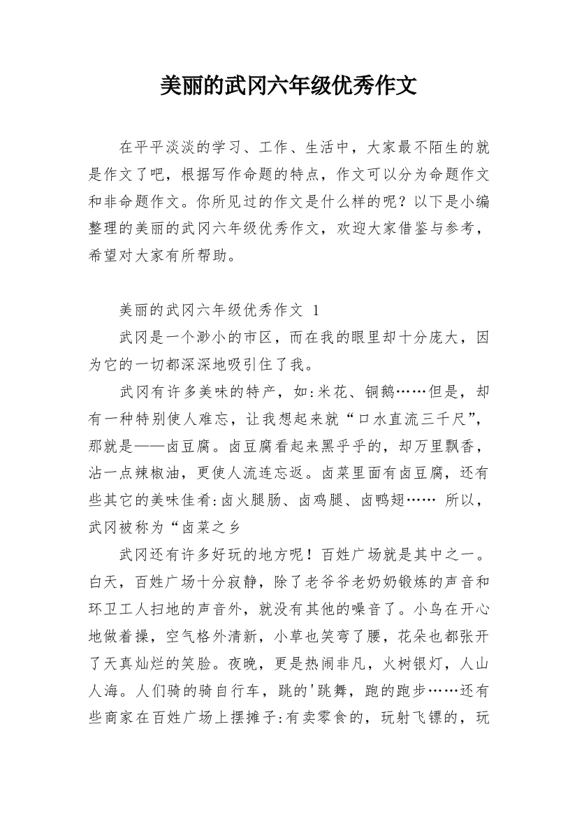 美丽的武冈六年级优秀作文