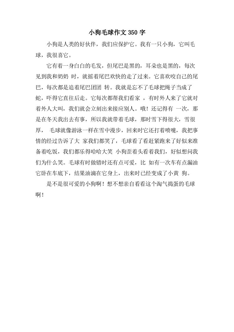 小狗毛球作文350字