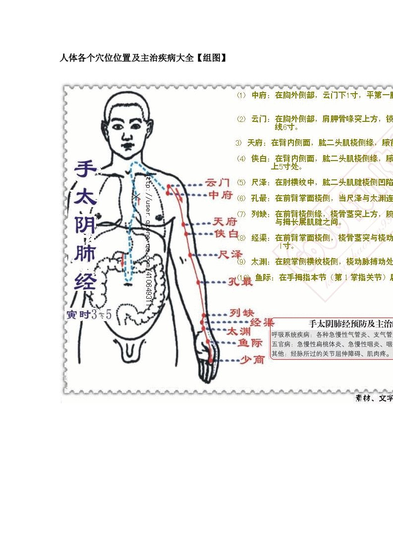 人体各个穴位位置及主治疾病大全