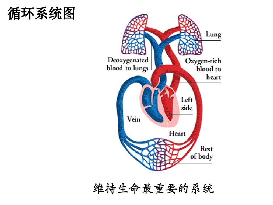 心血管类降压药物