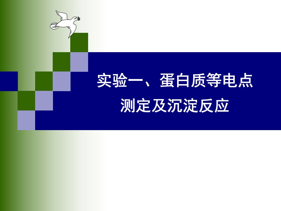 实验一、蛋白质的等电点测定和沉淀反应-课件【PPT演示稿】