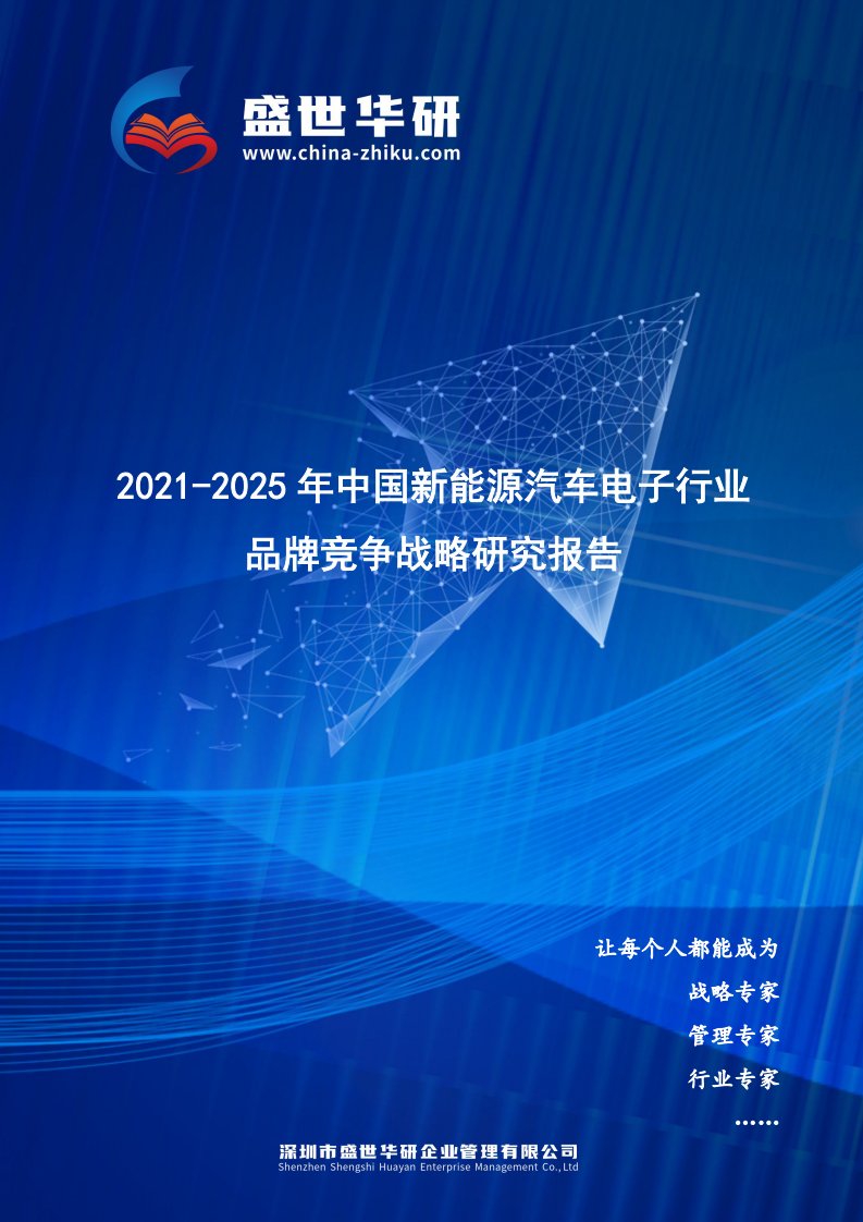 2021-2025年中国新能源汽车电子行业品牌竞争策略研究报告