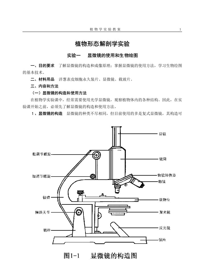 蕨类植物门分科检索表