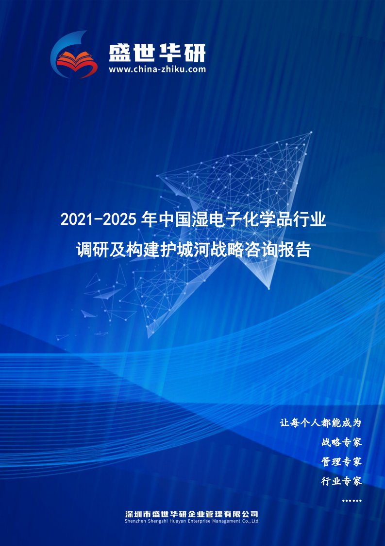 2021-2025年中国湿电子化学品行业调研及构建护城河战略咨询报告