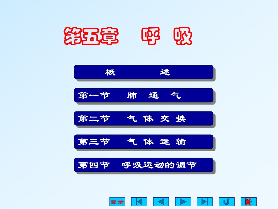 生理学课件呼吸系统自改PPT