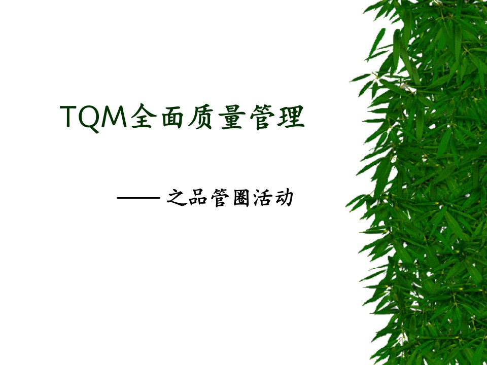 TQM全面质量管理QCC培训教材报告