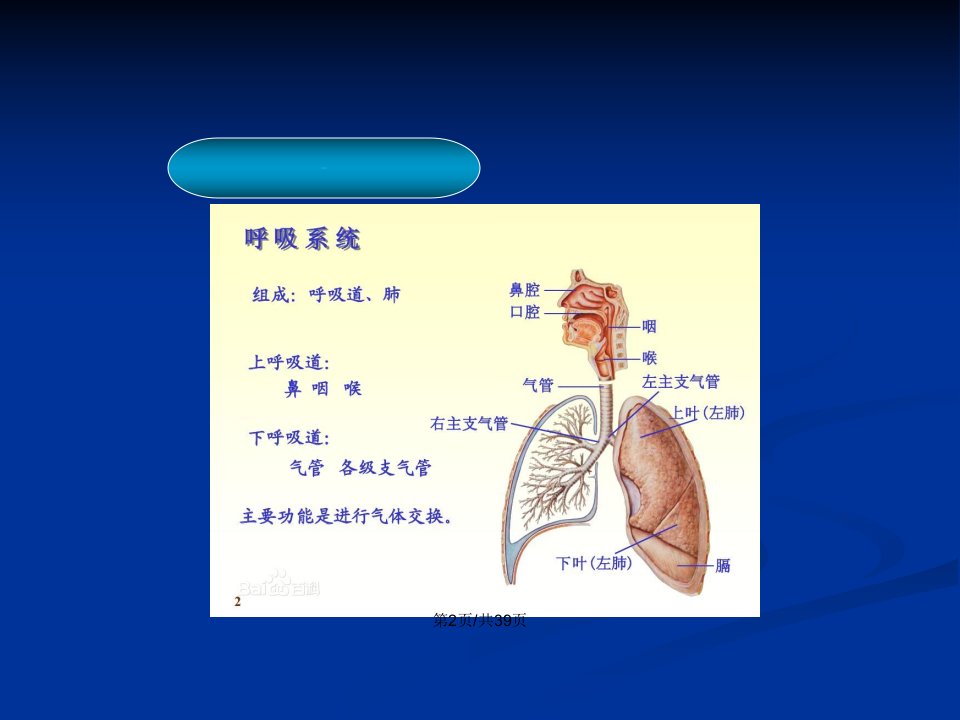 高频胸壁振荡排痰系统