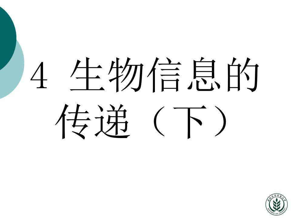 分子生物学课件—蛋白质翻译