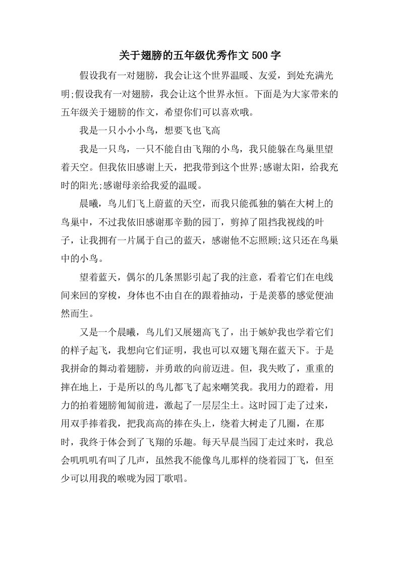 关于翅膀的五年级优秀作文500字