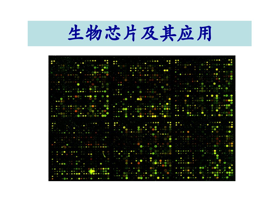 基因芯片