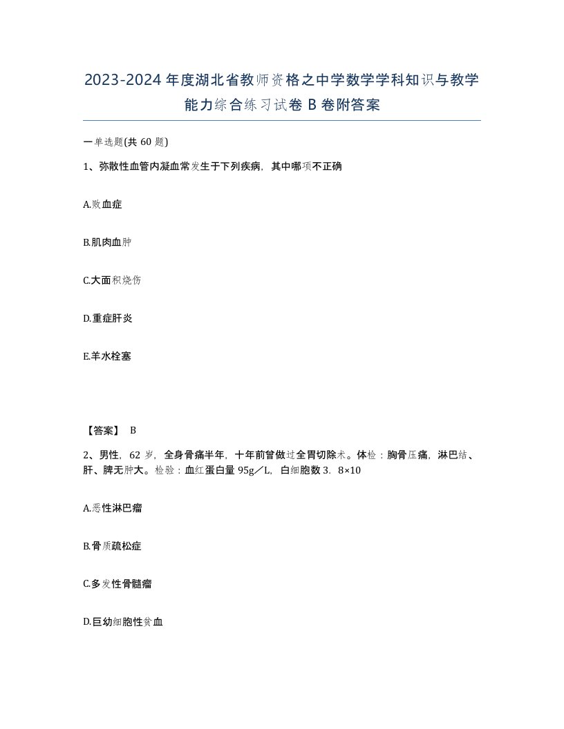 2023-2024年度湖北省教师资格之中学数学学科知识与教学能力综合练习试卷B卷附答案