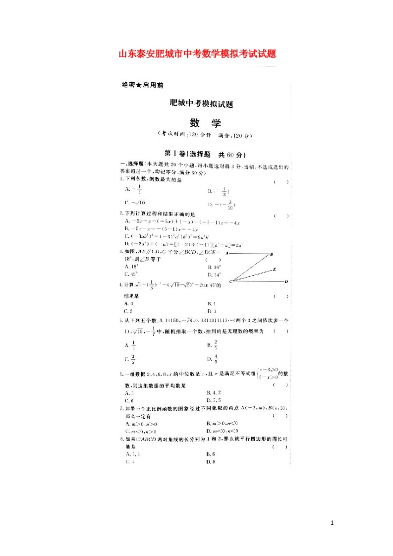 山东泰安肥城市中考数学模拟考试试题（扫描版）