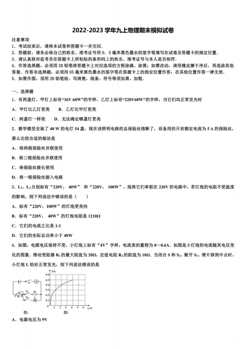 2023届云南省临沧市临翔区物理九年级上册期末监测试题含解析