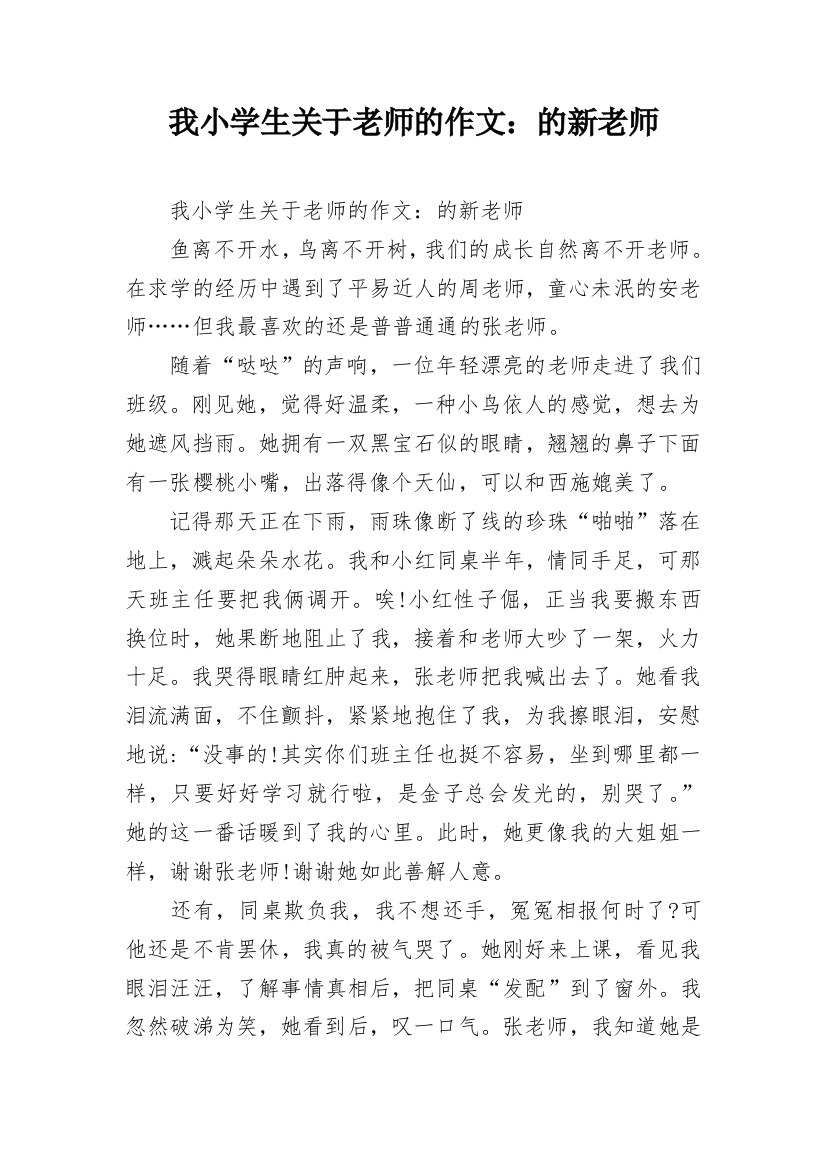 我小学生关于老师的作文：的新老师