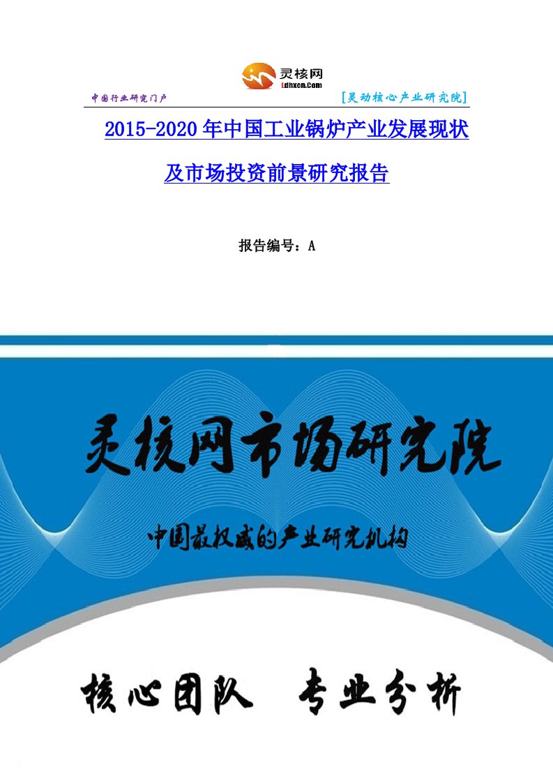 中国工业锅炉行业市场分析与发展趋势研究报告灵核网