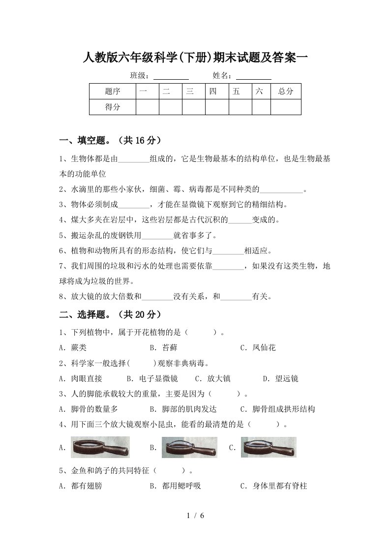 人教版六年级科学下册期末试题及答案一