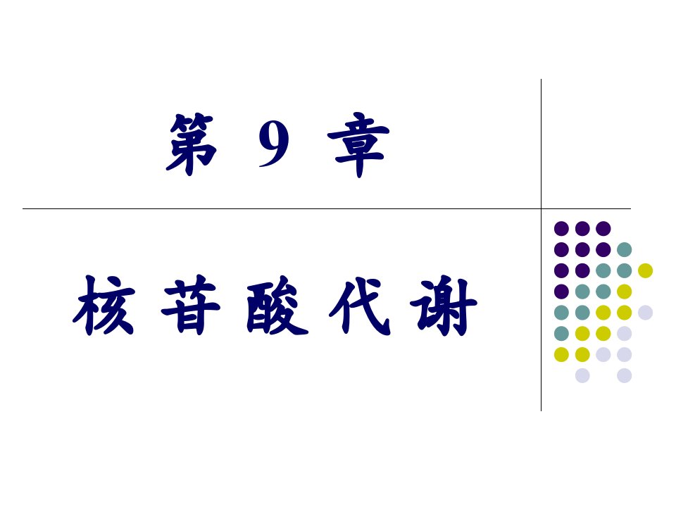 核苷酸代谢医学课件