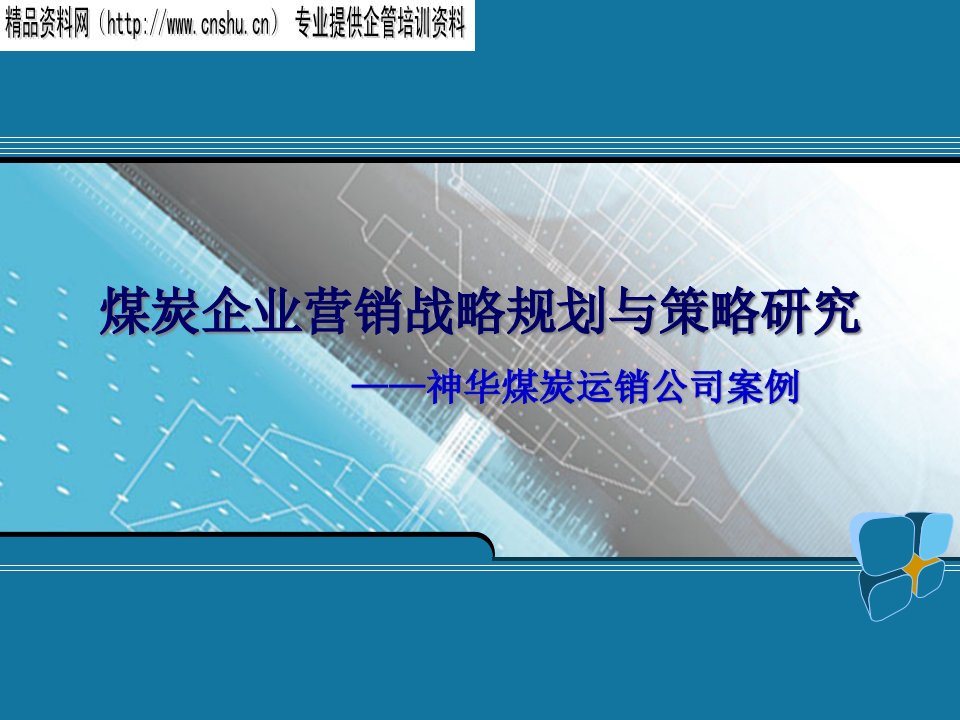 [精选]煤炭企业的营销战略与策略研究