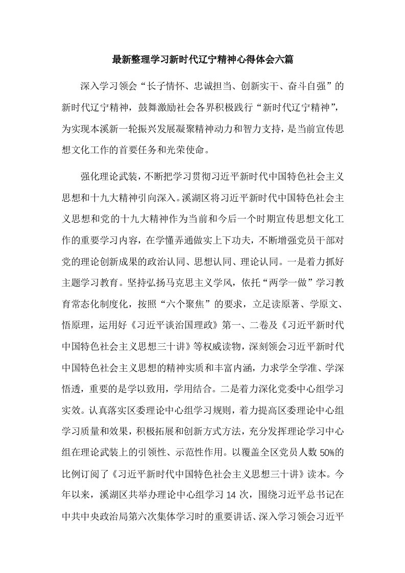 最新整理学习新时代辽宁精神心得体会六篇