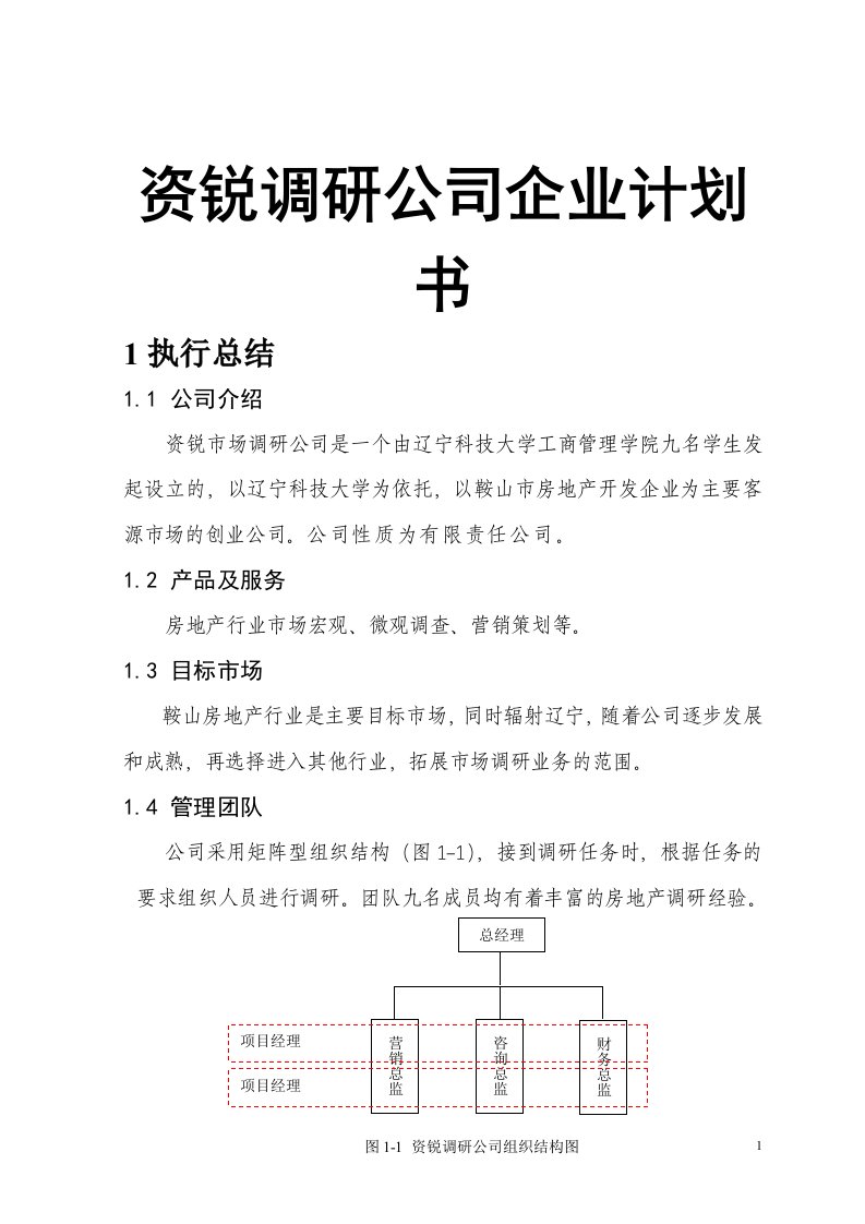 资锐调研公司企业计划书