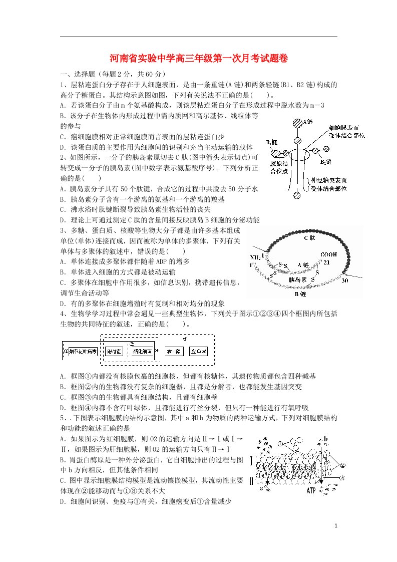 河南省实验中学高三生物上学期第一次月考试题新人教版