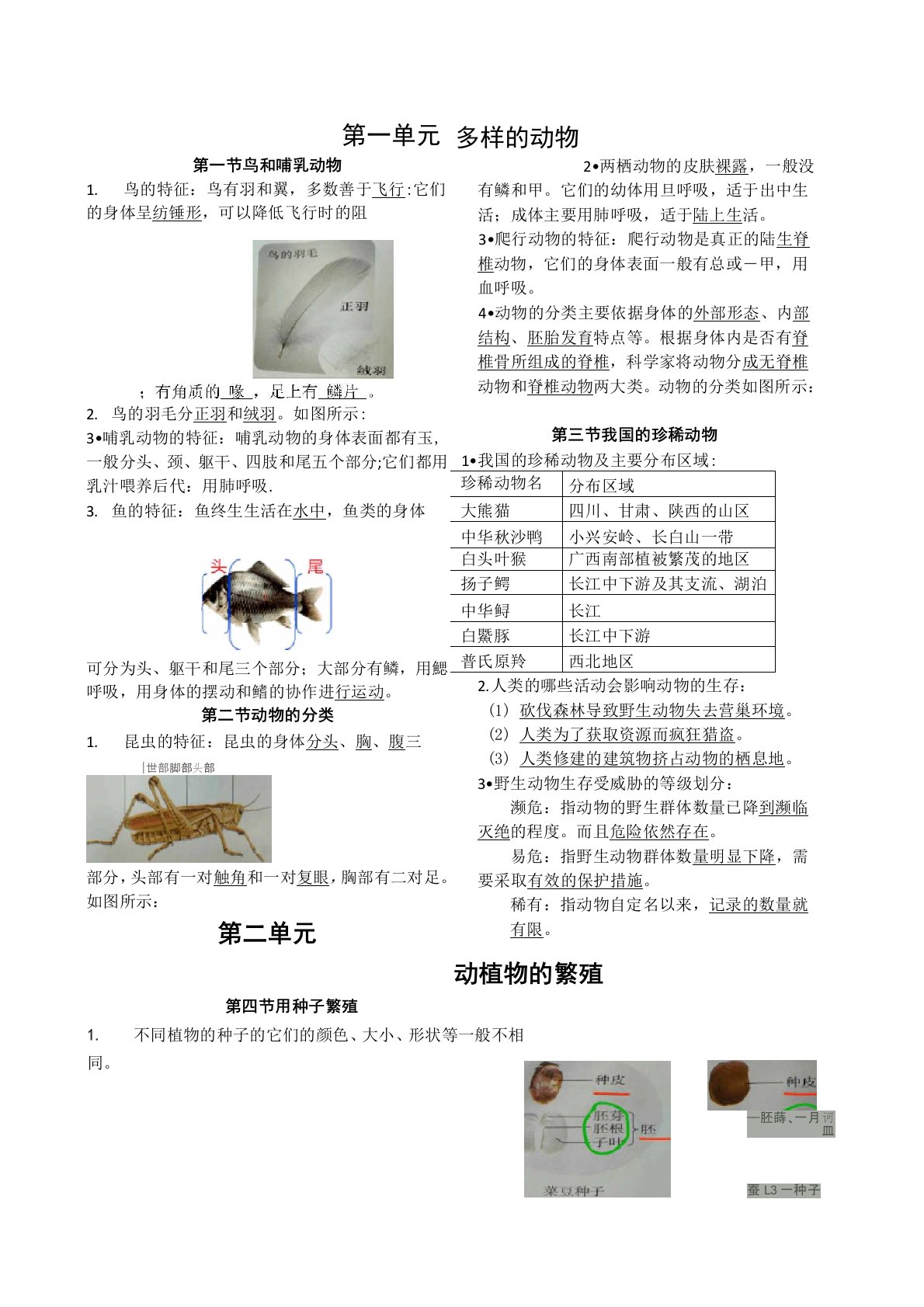 人鄂版四年级科学上册知识点