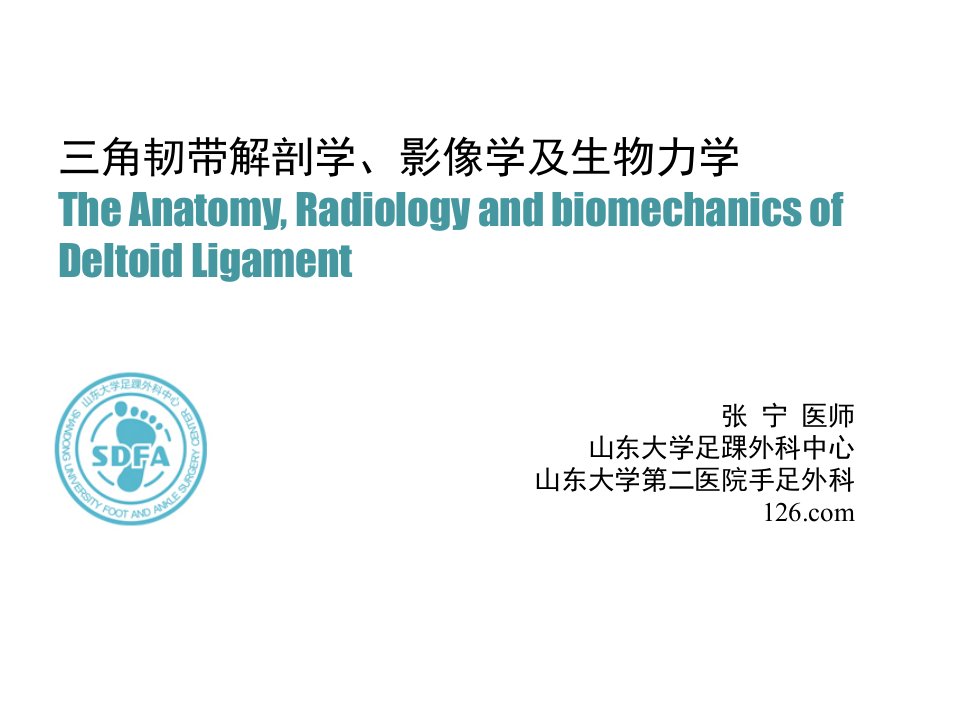 三角韧带解剖学、影像学及生物力学