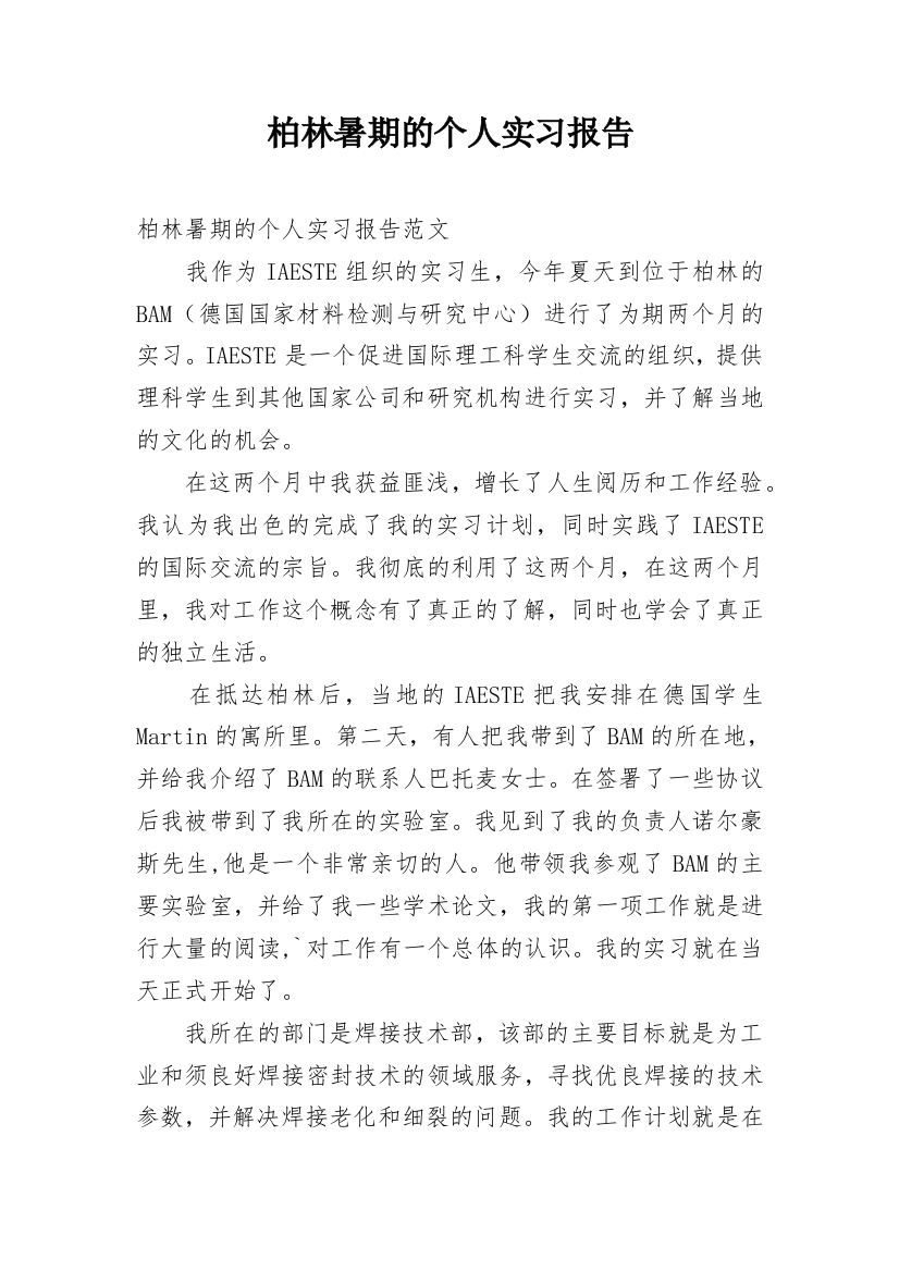 柏林暑期的个人实习报告