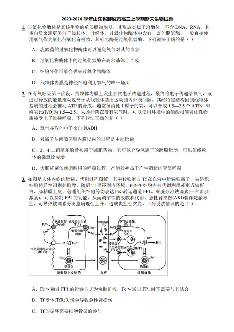 2023-2024学年山东省聊城市高三上学期期末生物试题