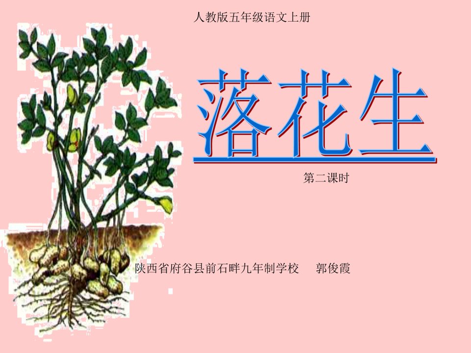 《落花生》微课